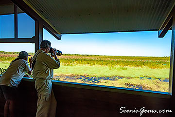 Man taking photographs of birdlife at the viewing platform, Mamukala Wetlands, Kakadu
