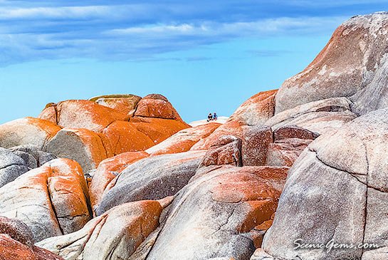 Orange lichen granite boulders - the Bay of Fires, Tasmania