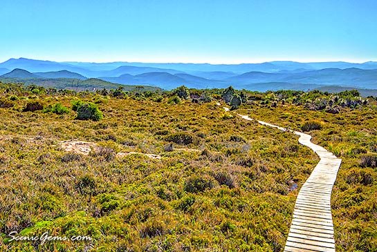 Boardwalk along the Hartz Peak trail, Hartz Mountain National Park, Tasmania