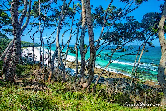 Beach poking through the trees at Jervis Bay, NSW, Australia