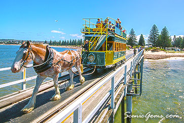 Horse drawn tram on The Causeway, Victor Harbour, South Australia