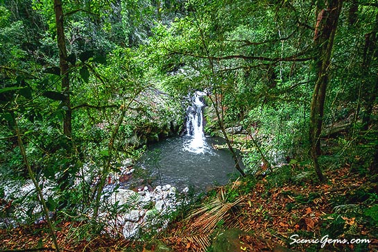 Waterfall as seen on the Box forest circuit, Lamington National Park, Queensland, Australia